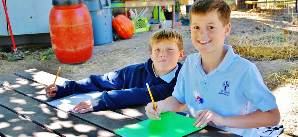 boys sitting at the table in our gardening class